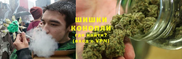 мдпв Новозыбков