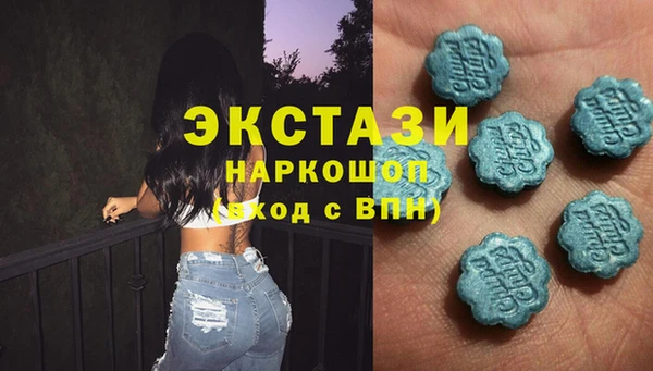 мдпв Новозыбков