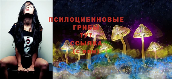 apvp Новокубанск