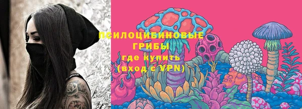 дживик Новодвинск