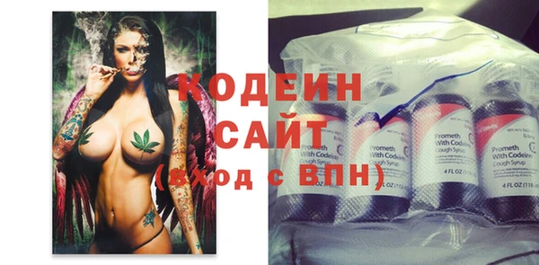 мдпв Новозыбков