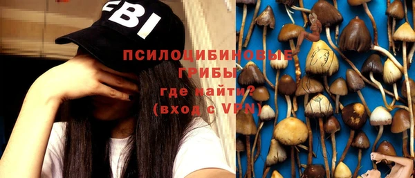 мдпв Новозыбков