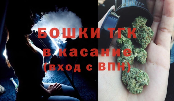 мдпв Новозыбков