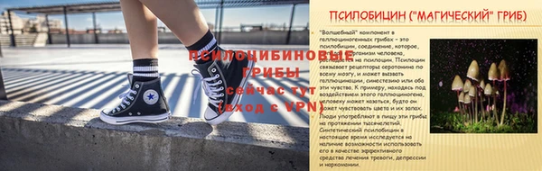 дживик Новодвинск