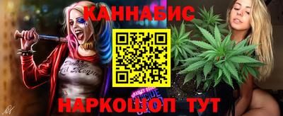прущие крисы Нальчик