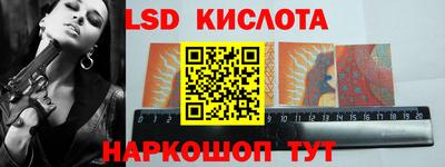 крисы Новодвинск