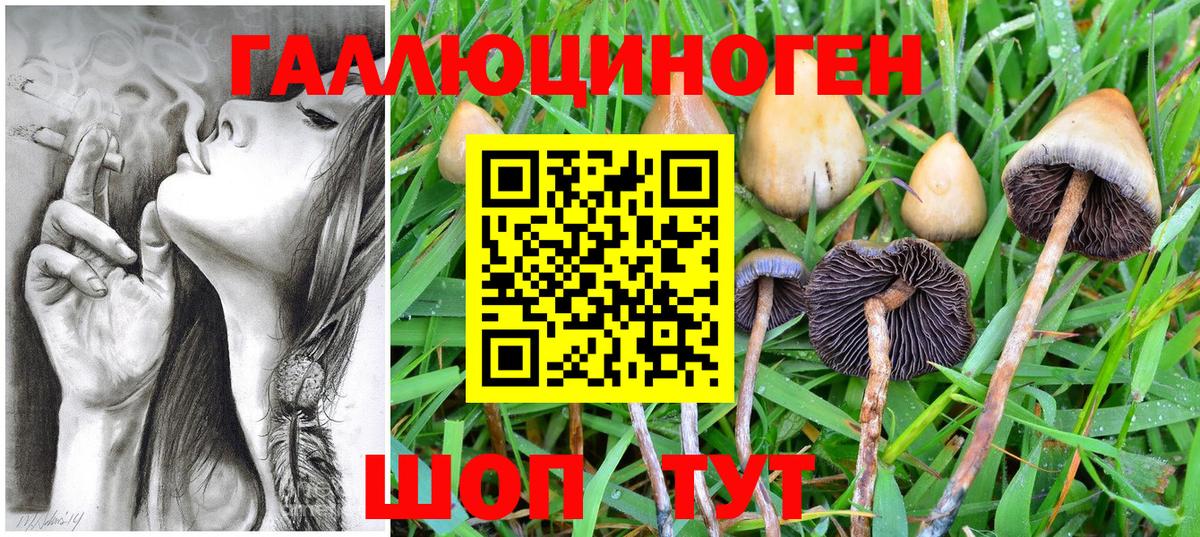 Галлюциногенные грибы ЛСД Ялуторовск